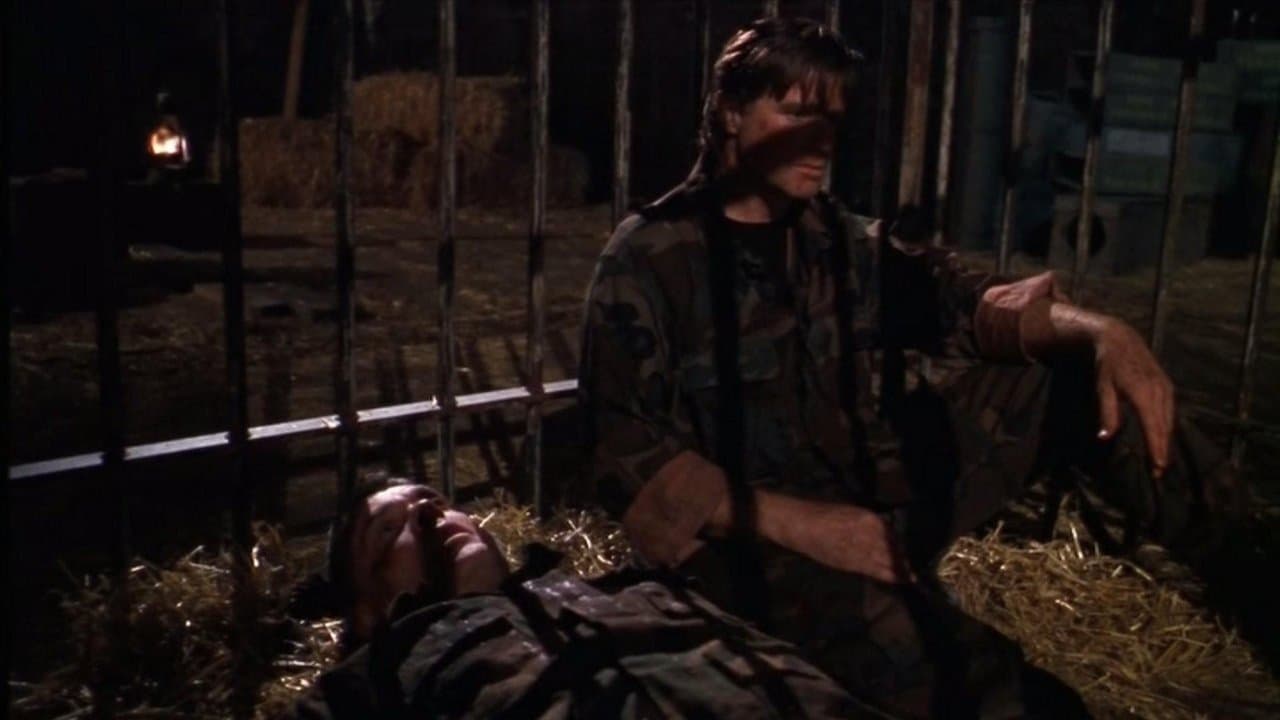 Belfer 3: Zwycięzca Bierze Wszystko