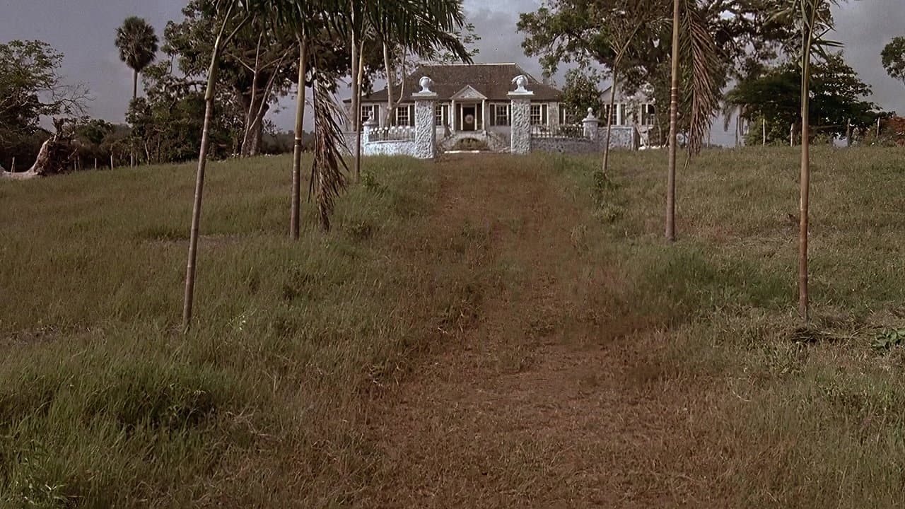 Bezkresne Morze Sargassowe