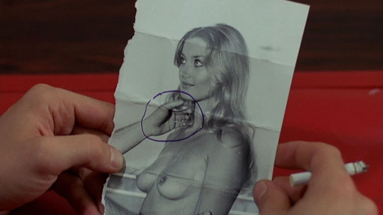 Czarny odwłok tarantuli