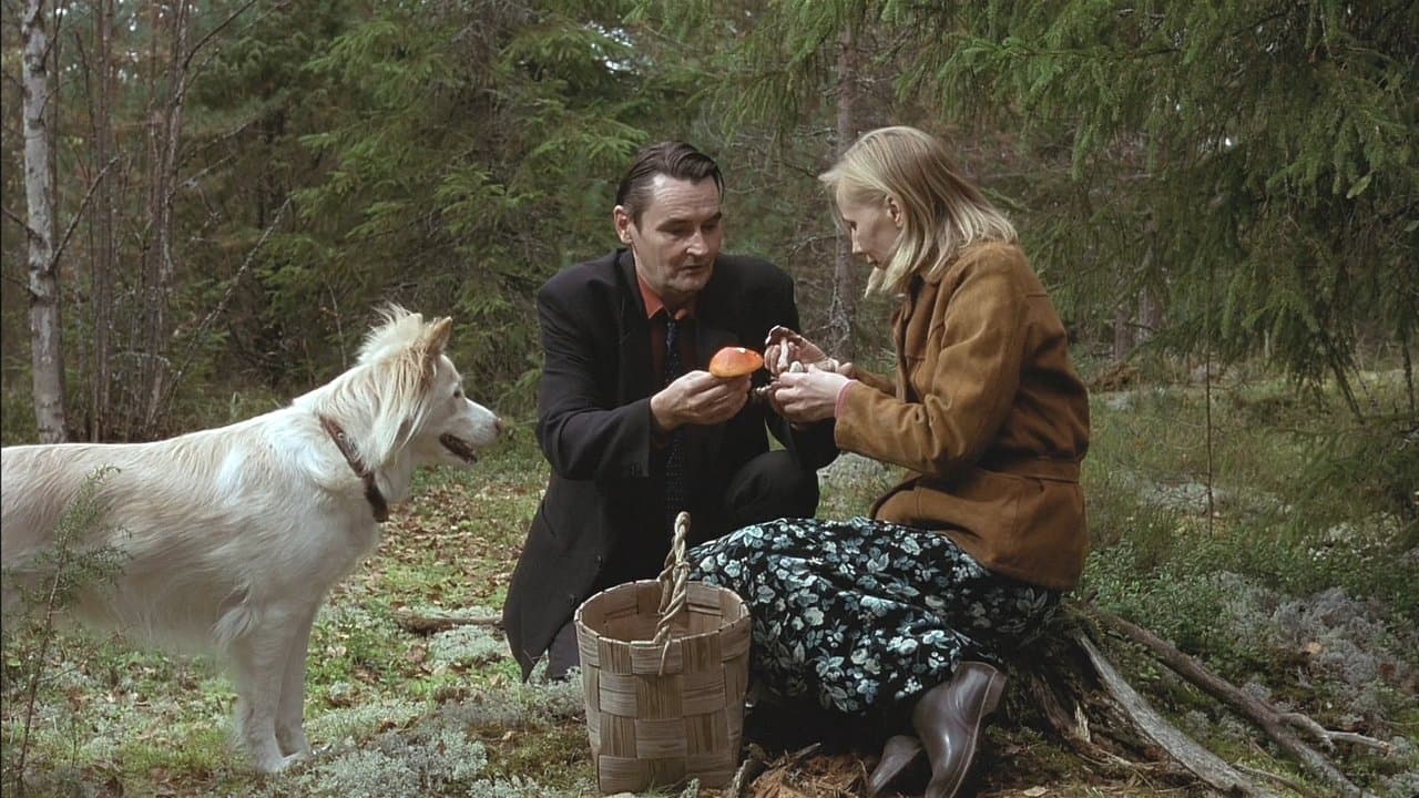 Człowiek bez przeszłości