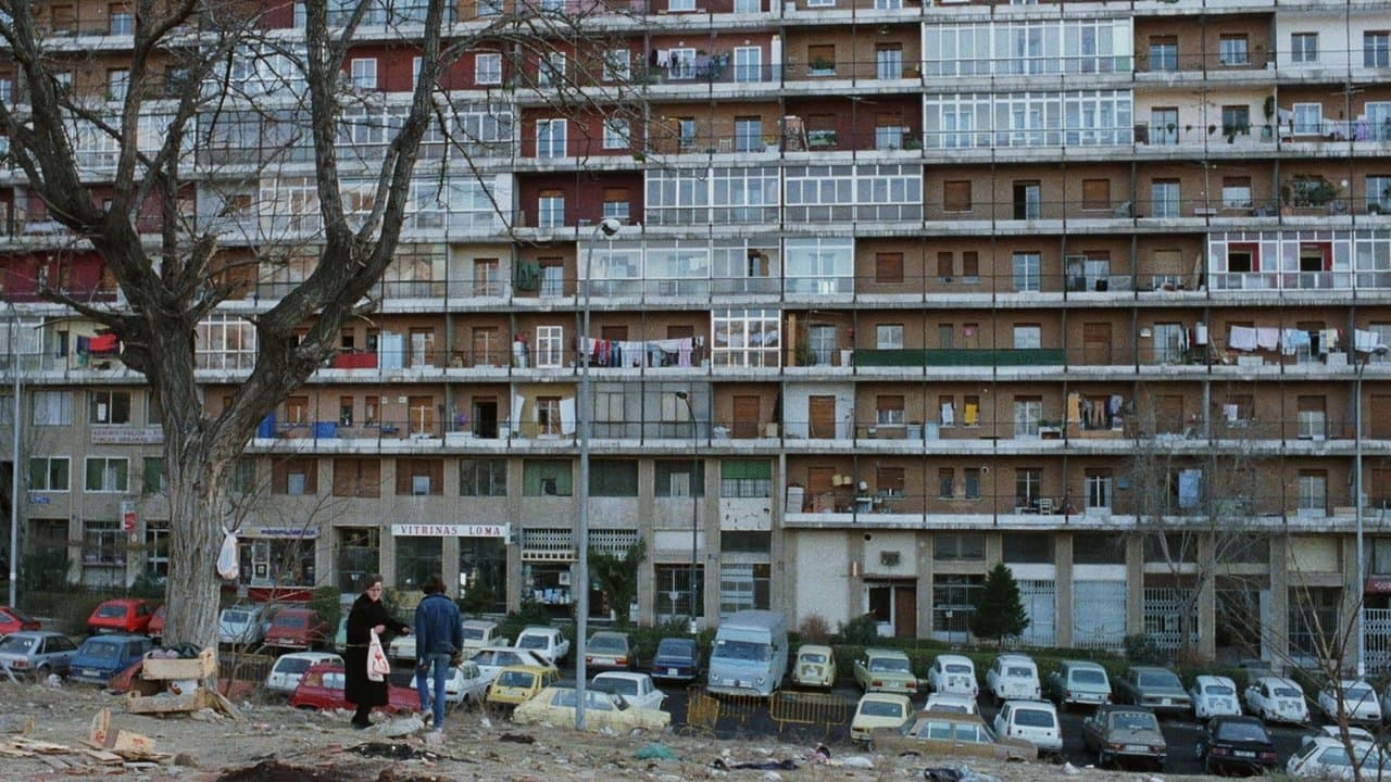 Czym sobie na to wszystko zasłużyłam?