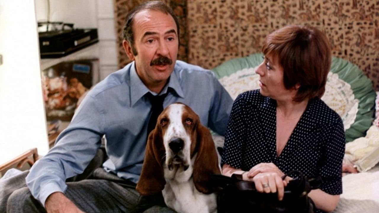 Goń mnie, aż cię złapię