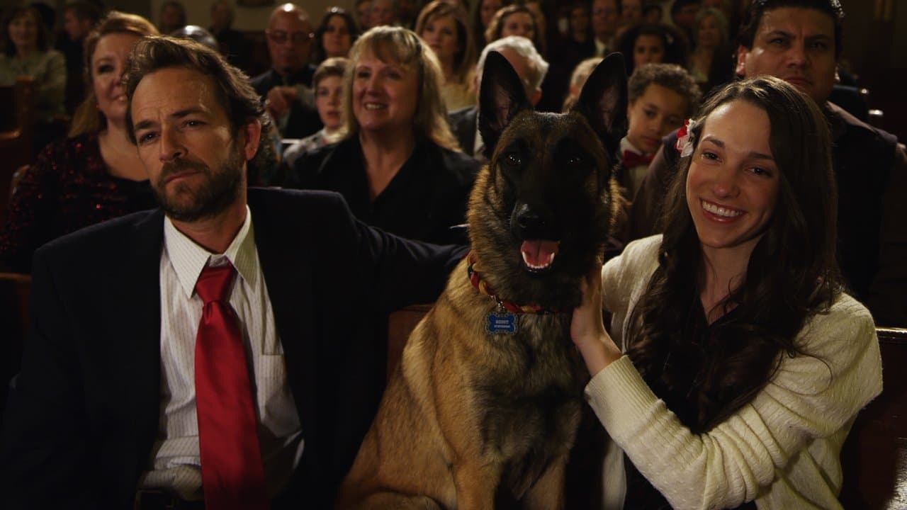 K-9: Pies, który uratował święta