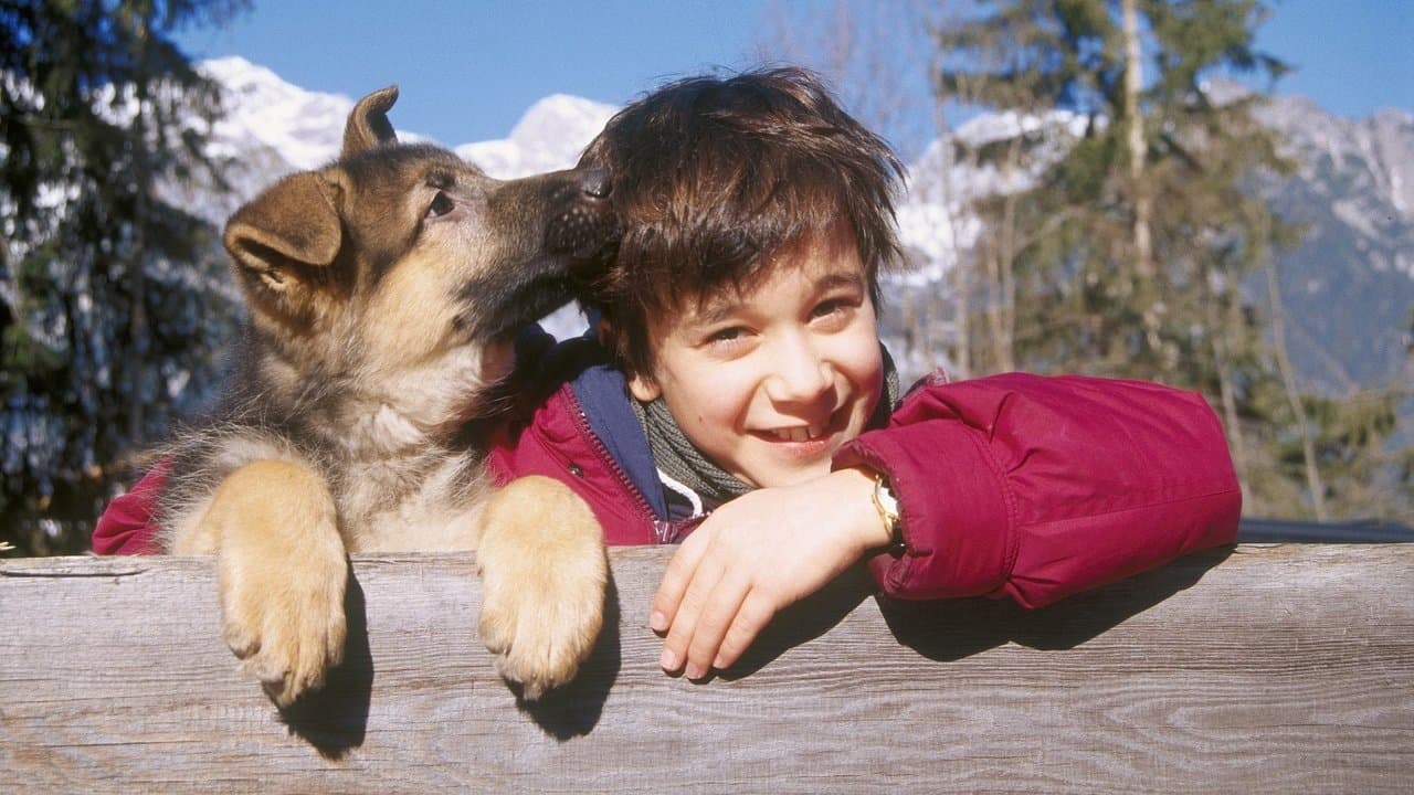 Komisarz Rex - Początek