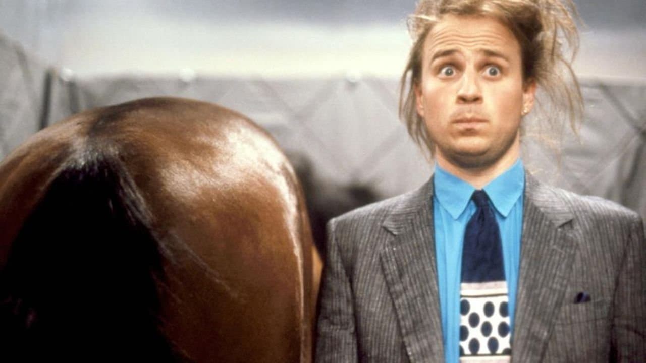 Koń mądrzejszy od jeźdźca