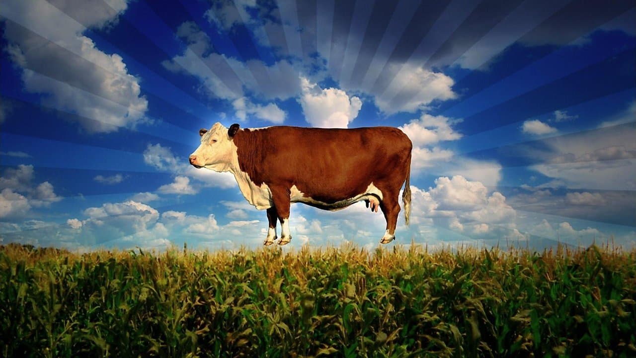 Korporacyjna żywność