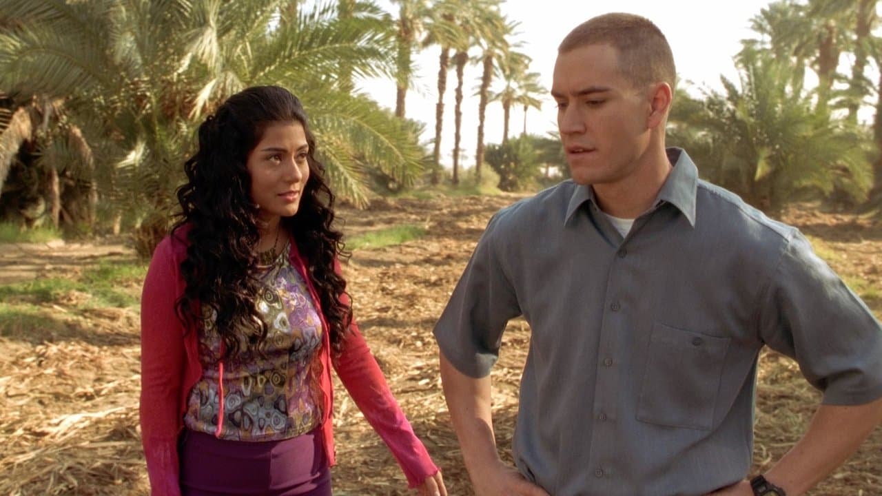 Księżniczka i żołnierz