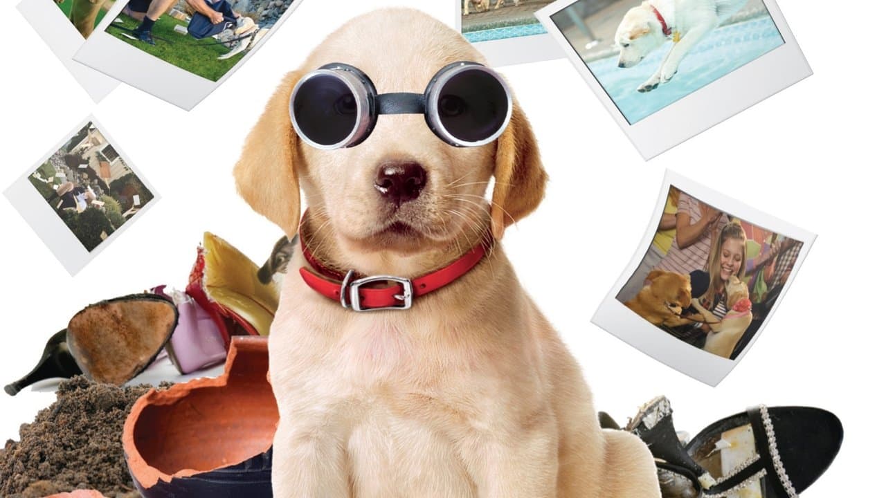 Marley i ja: Szczenięce lata