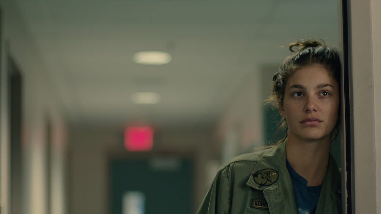 Mickey i niedźwiedź