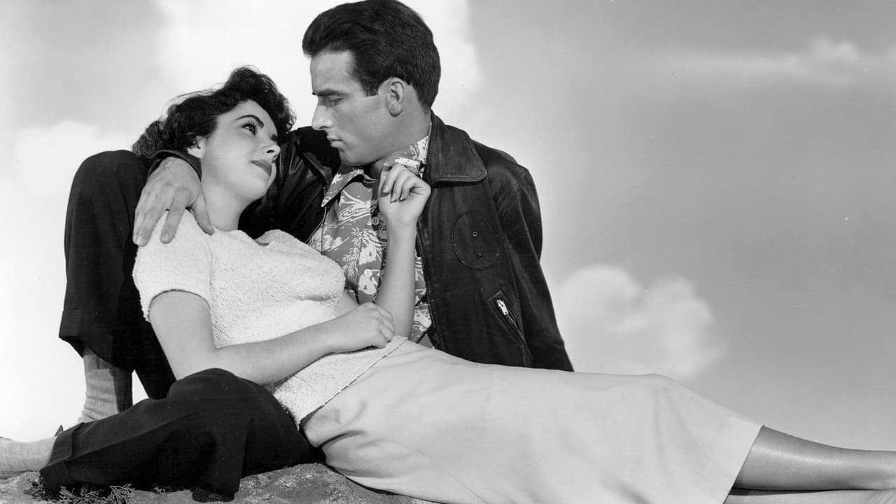 Miejsce pod słońcem