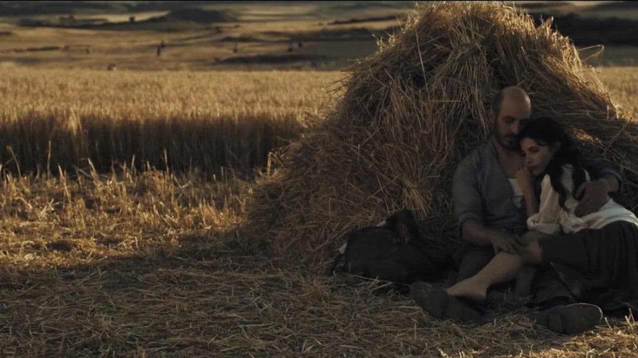 Nie zrywa się kwiatów