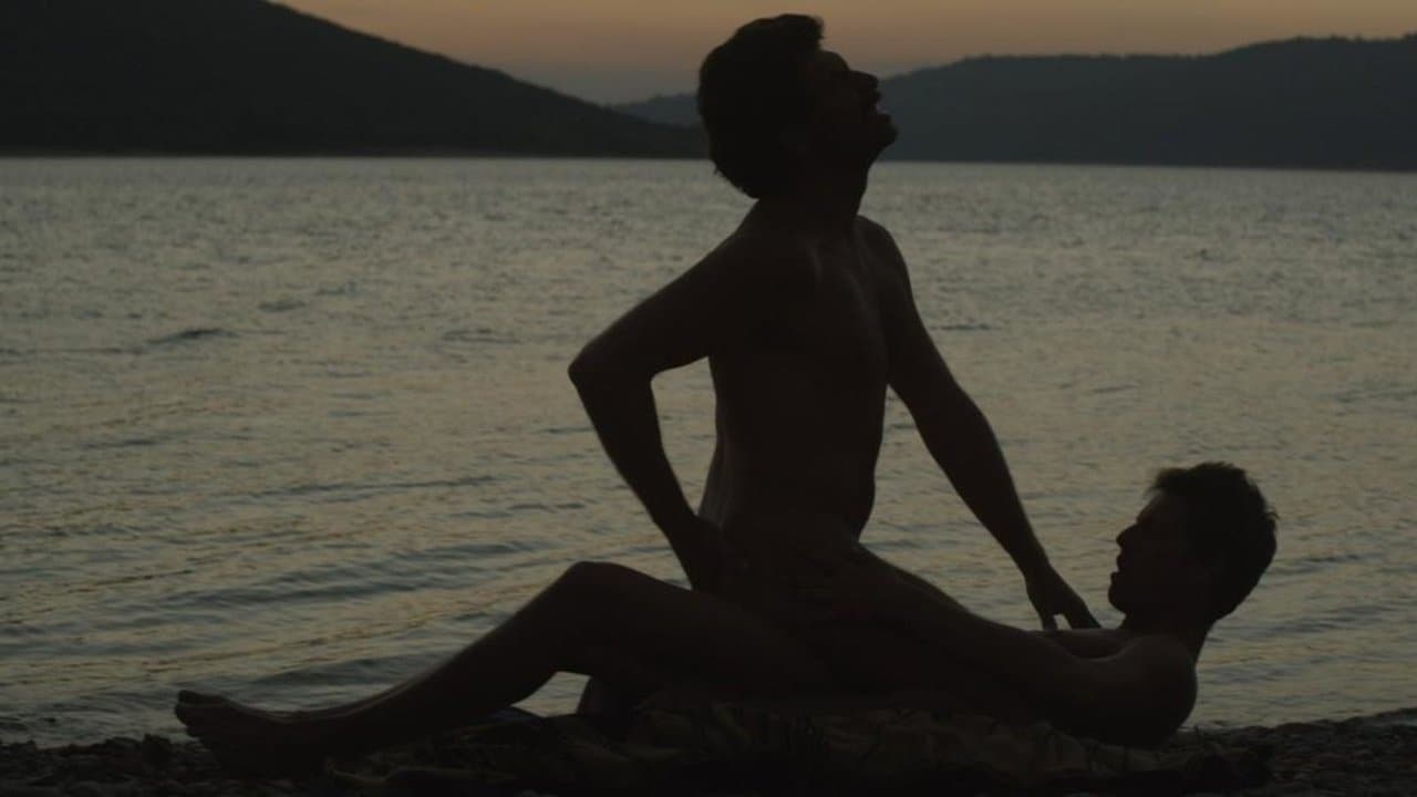 Nieznajomy nad jeziorem