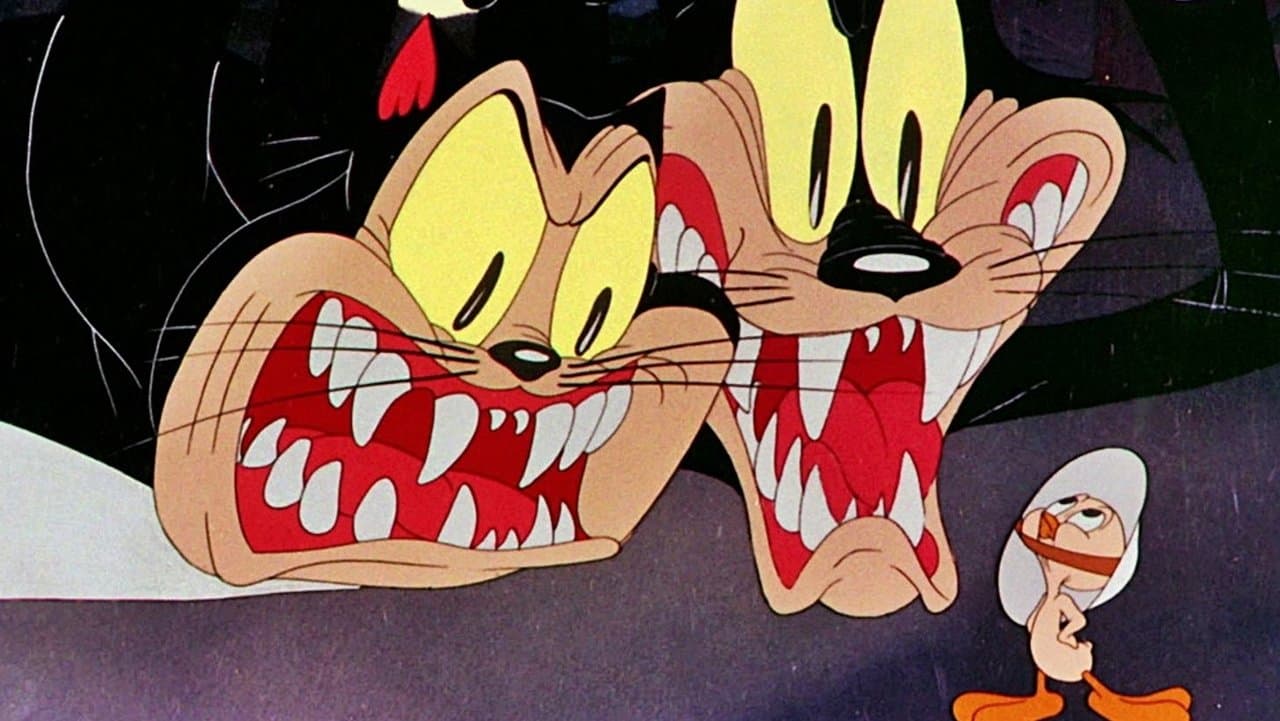 Opowieść o dwóch kotach