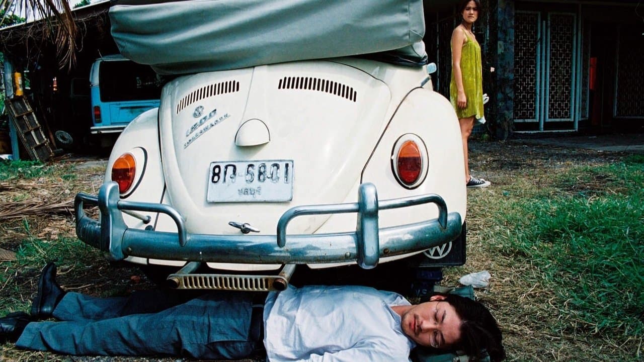 Ostatnie życie we wszechświecie