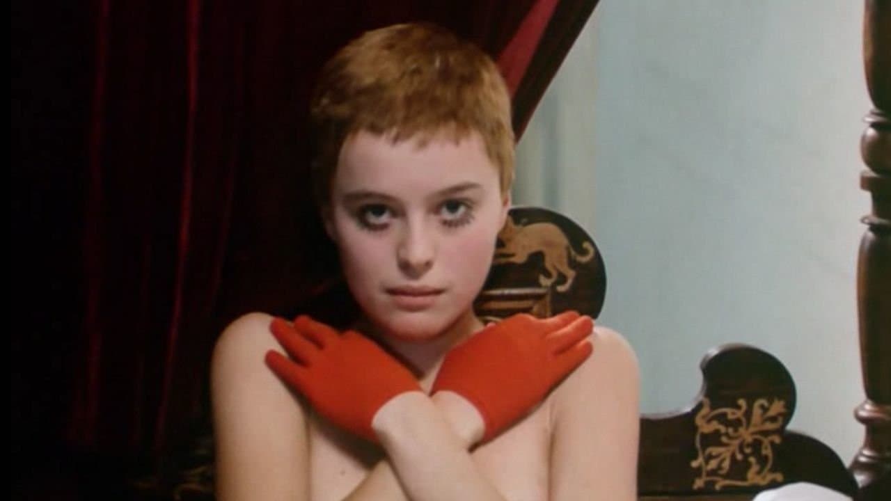 Ptaszki, sieroty i głupcy