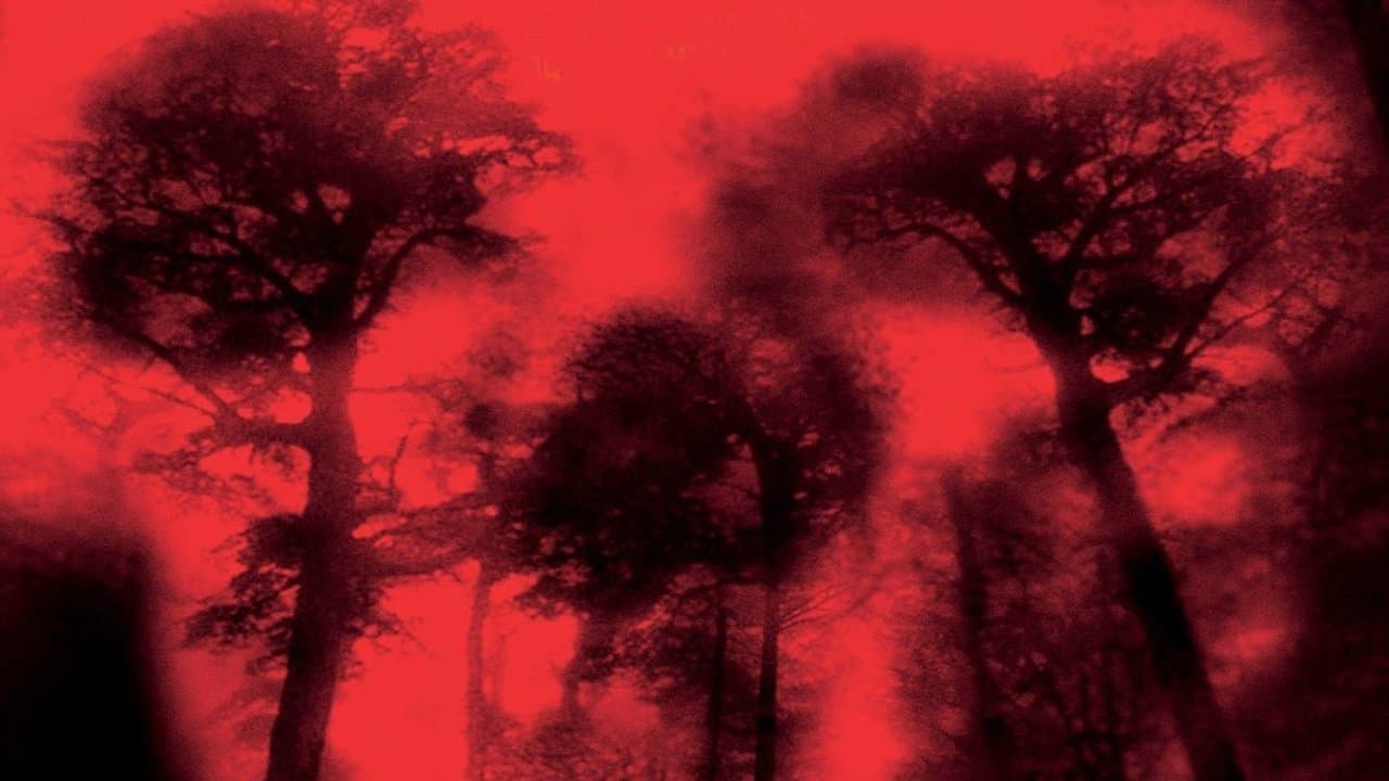 Śmiertelna gorączka