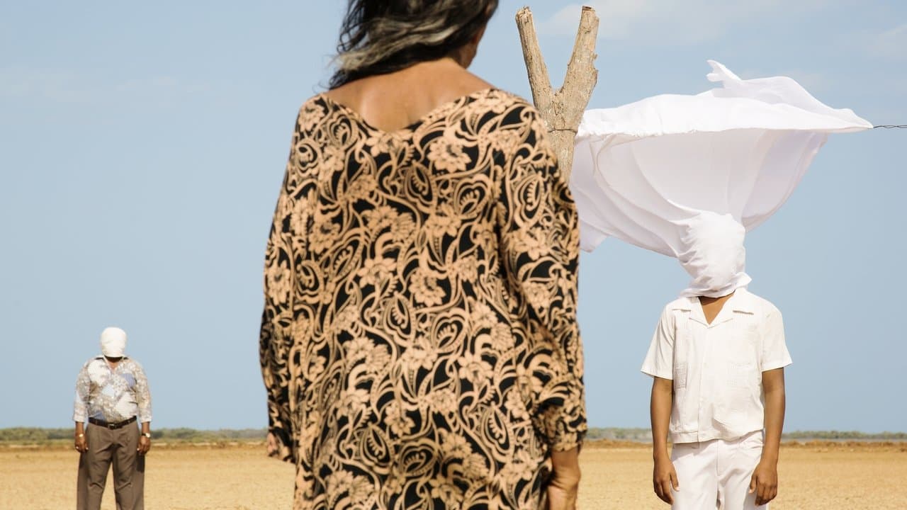 Sny wędrownych ptaków