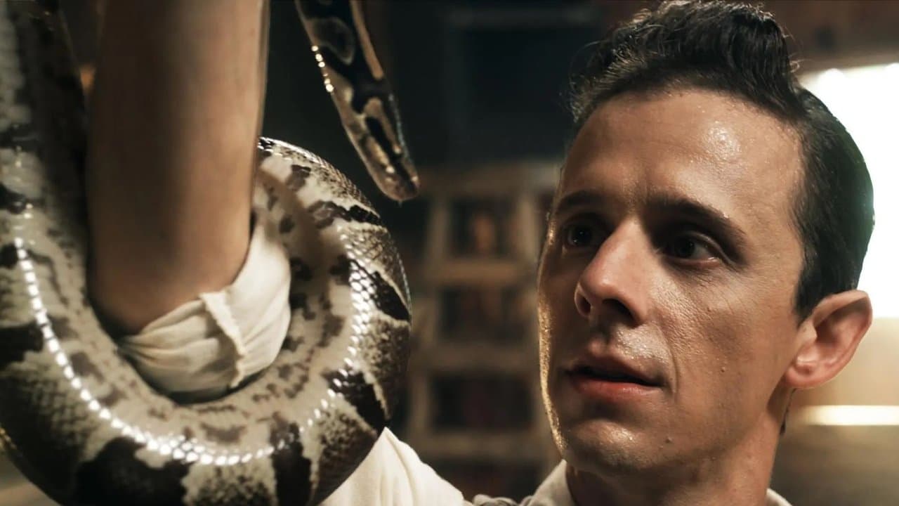 Wspólnota Ducha Świętego