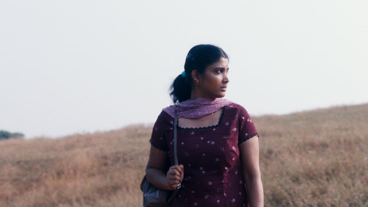 Wszystkie odcienie światła