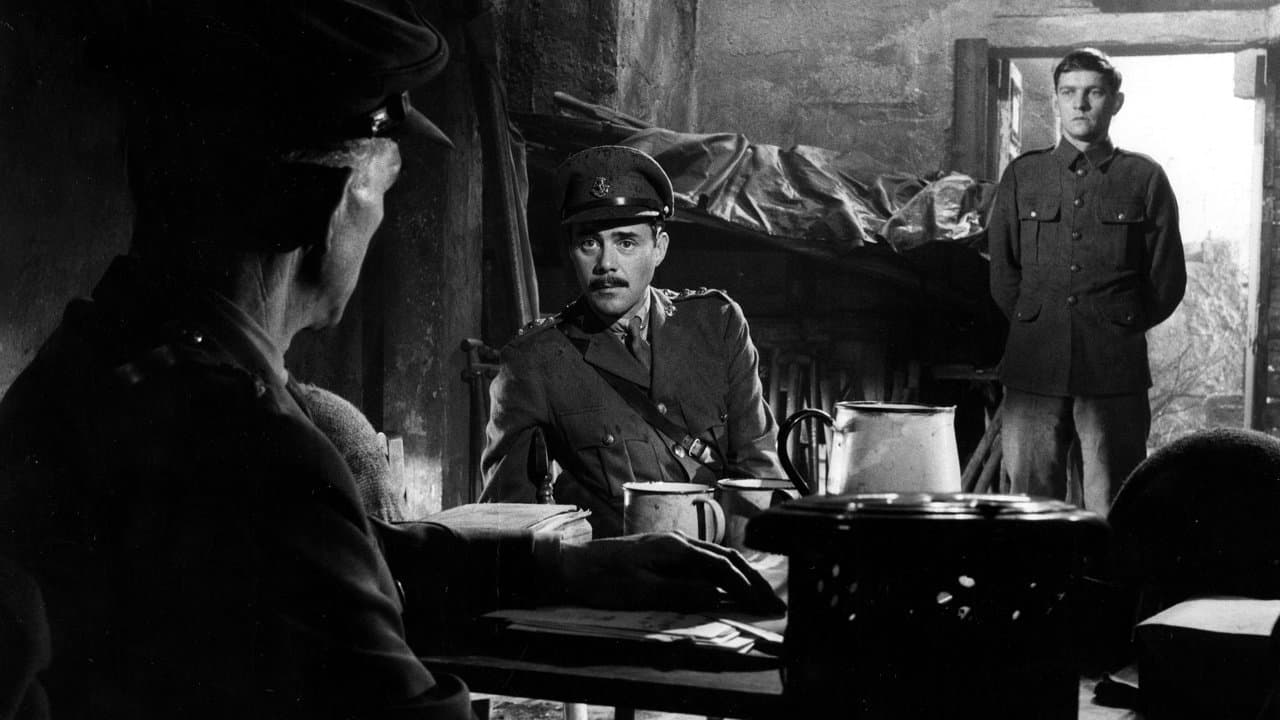 Za króla i ojczyznę