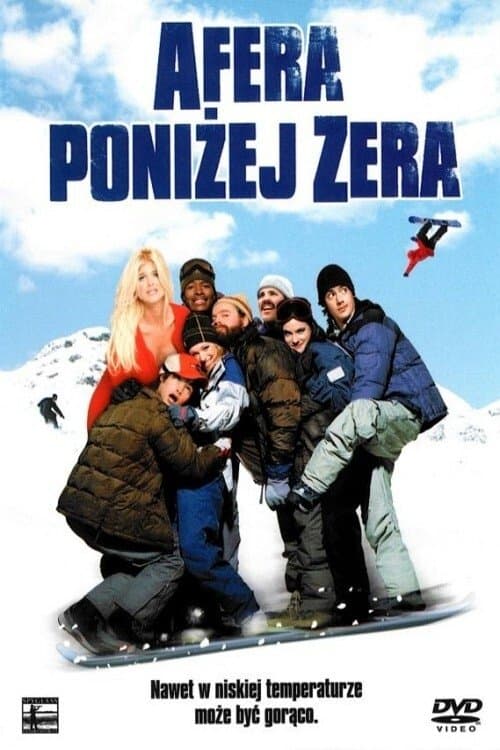 Afera poniżej zera 2001 cały film