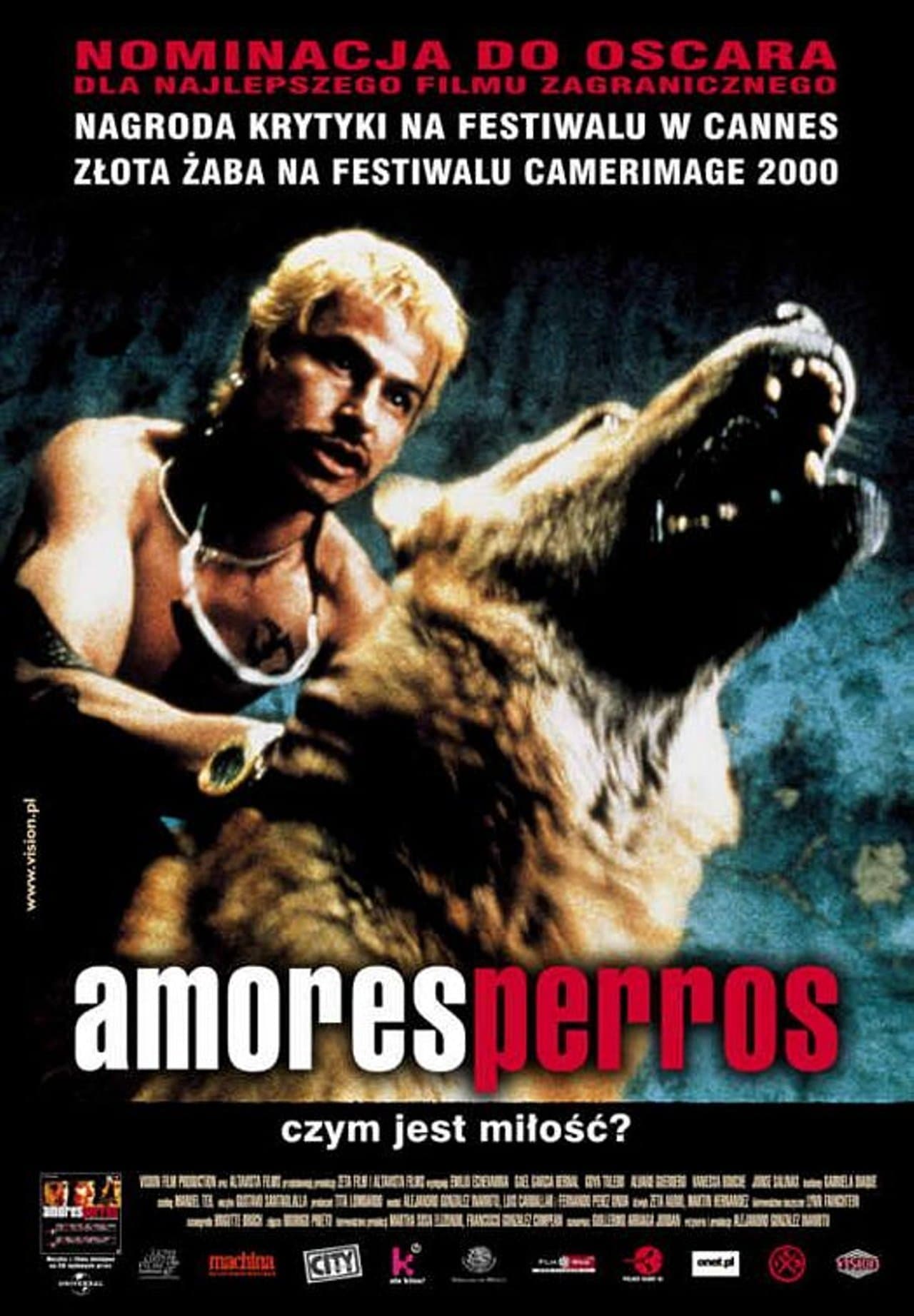 Amores perros 2000 cały film