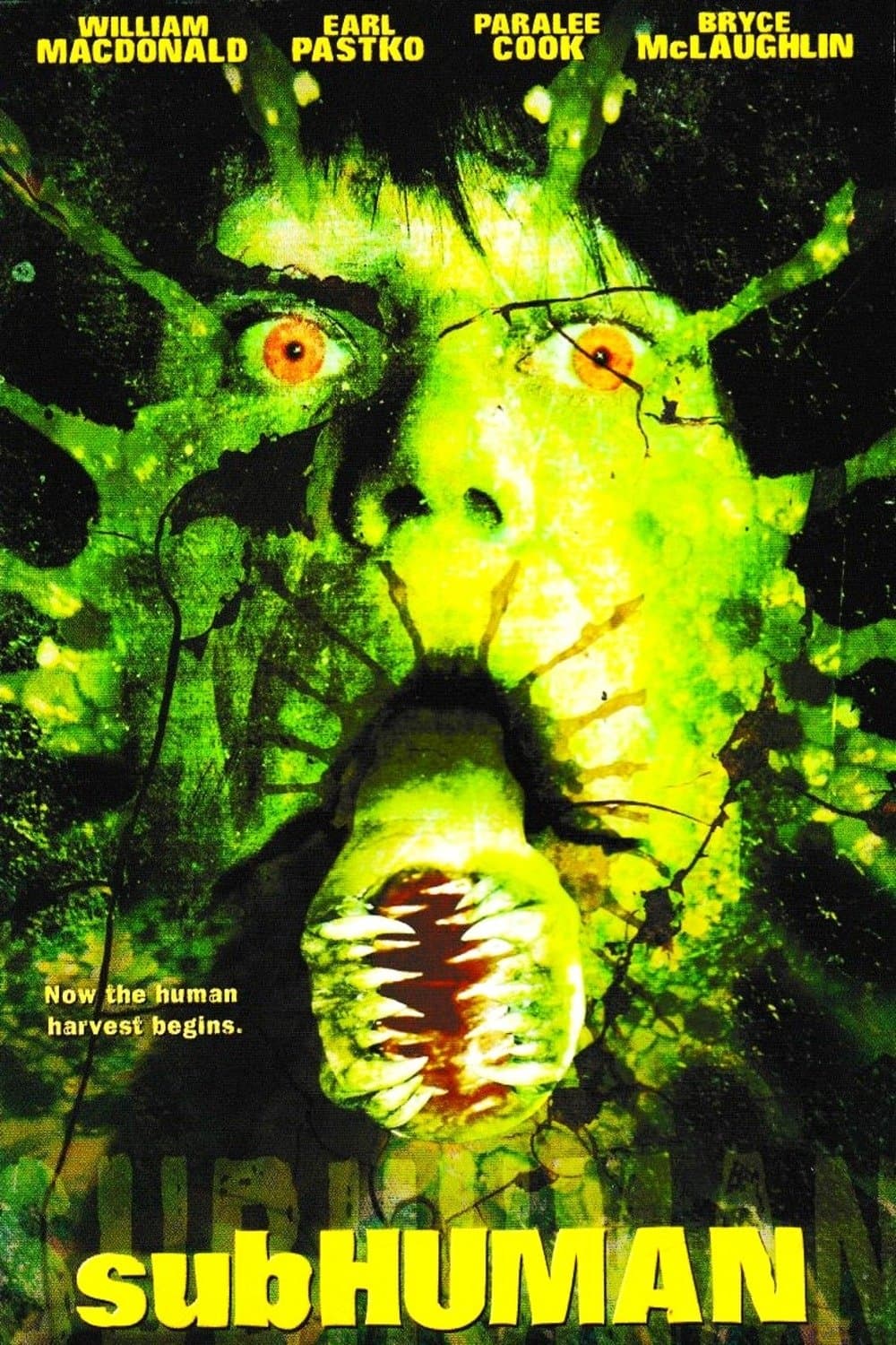 Antygatunek 2004 cały film