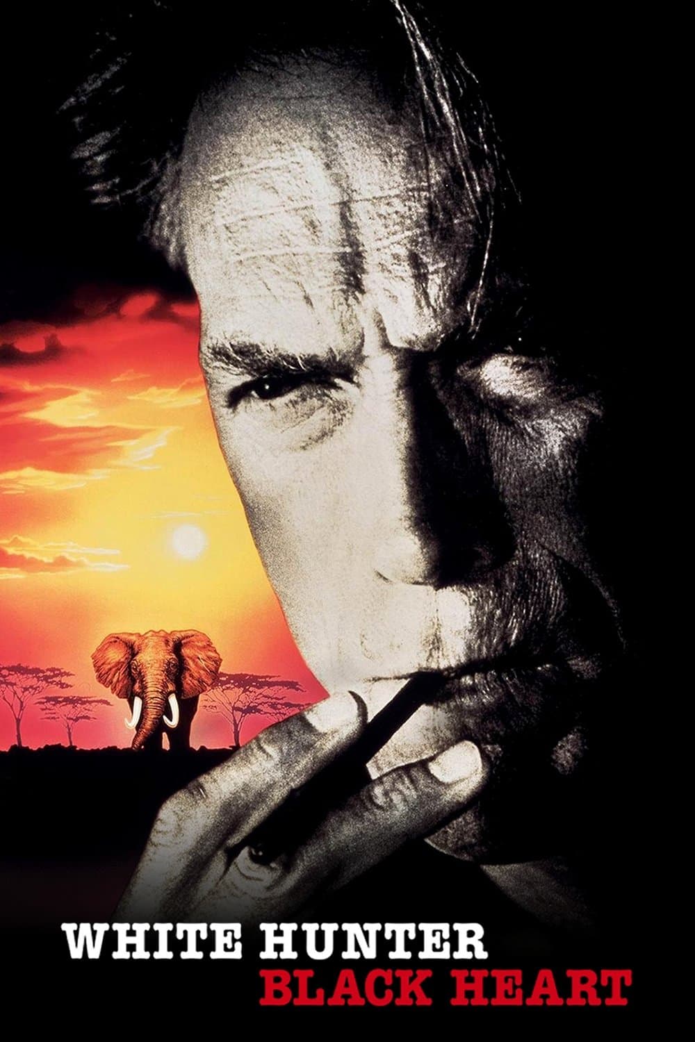 Biały Myśliwy, Czarne Serce 1990 cały film