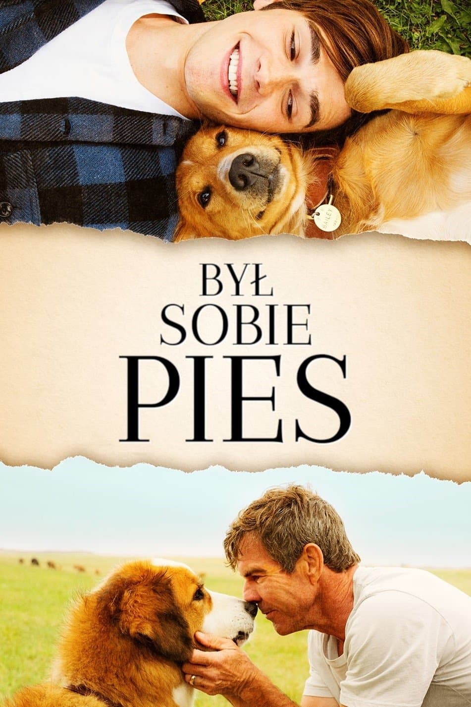 Był Sobie Pies 2017 cały film