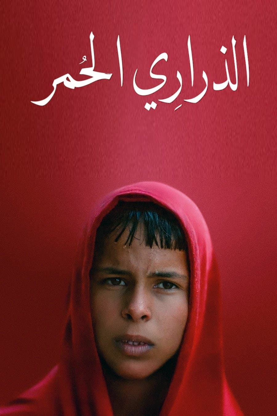 Czerwony szlak 2025 cały film