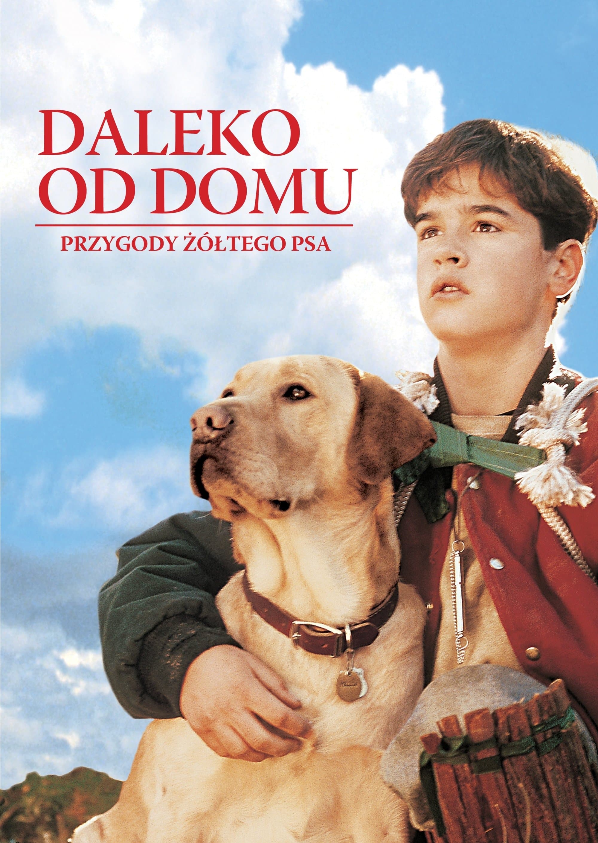 Daleko od domu: Przygody żółtego psa 1995 cały film
