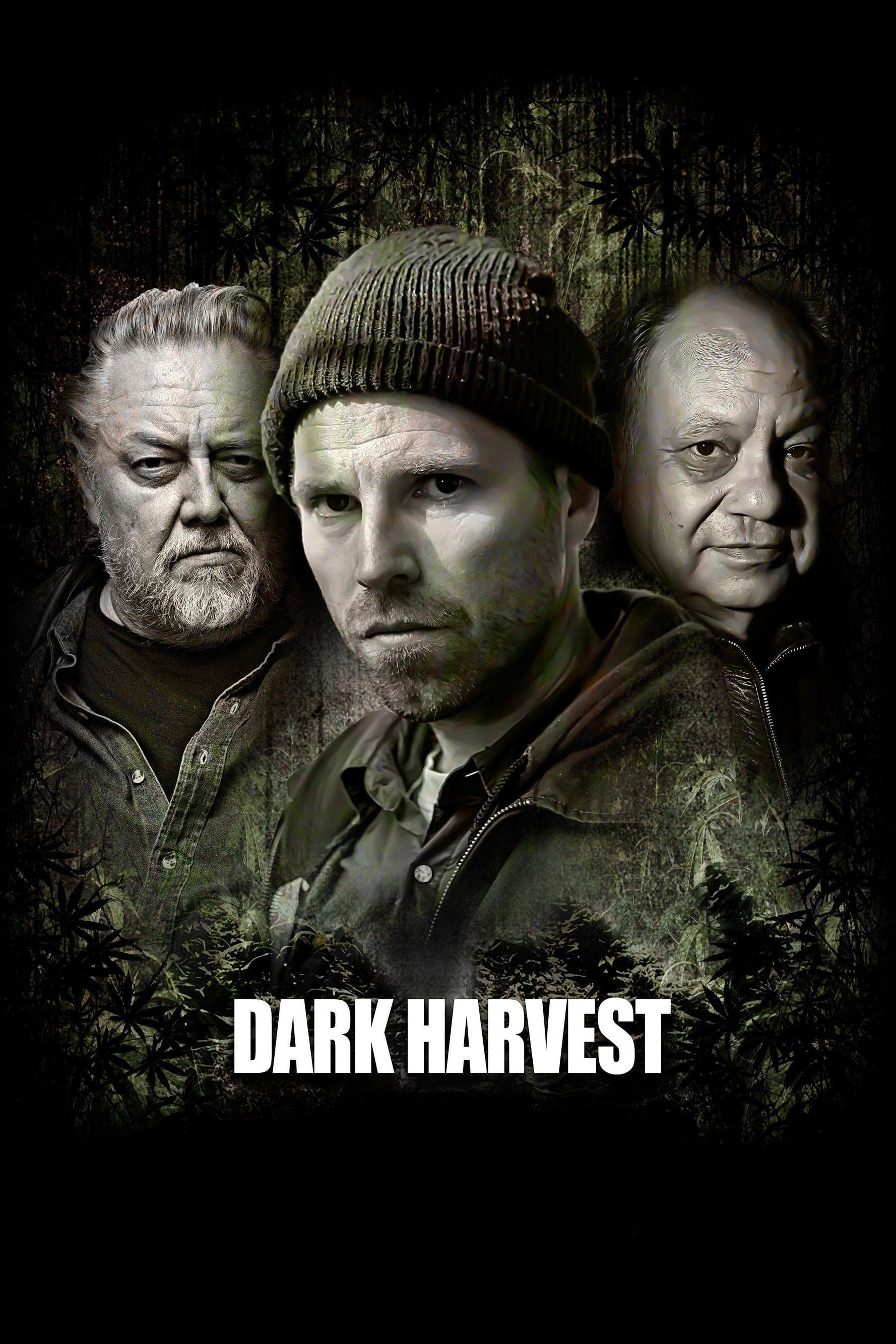 Dark Harvest 2016 cały film