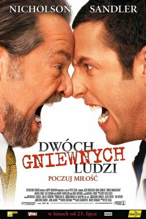 Dwóch gniewnych ludzi 2003 cały film
