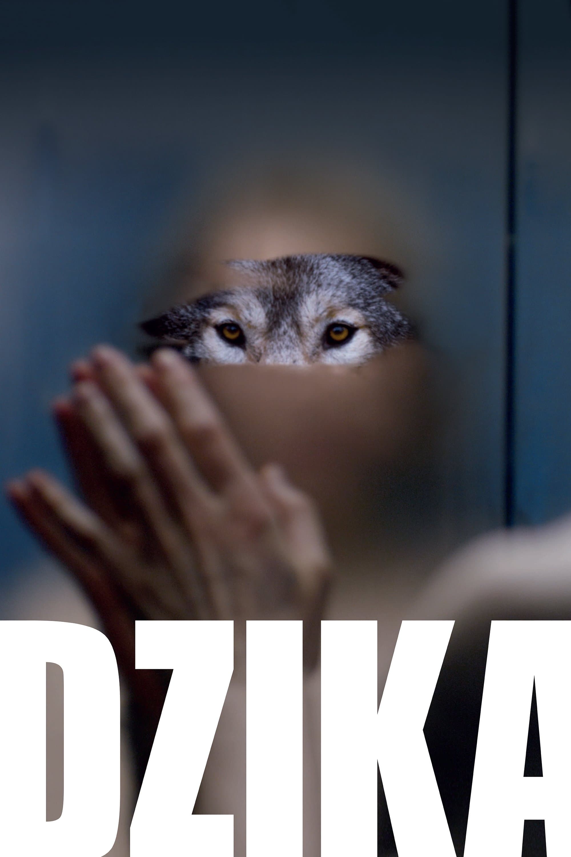 Dzika 2016 cały film