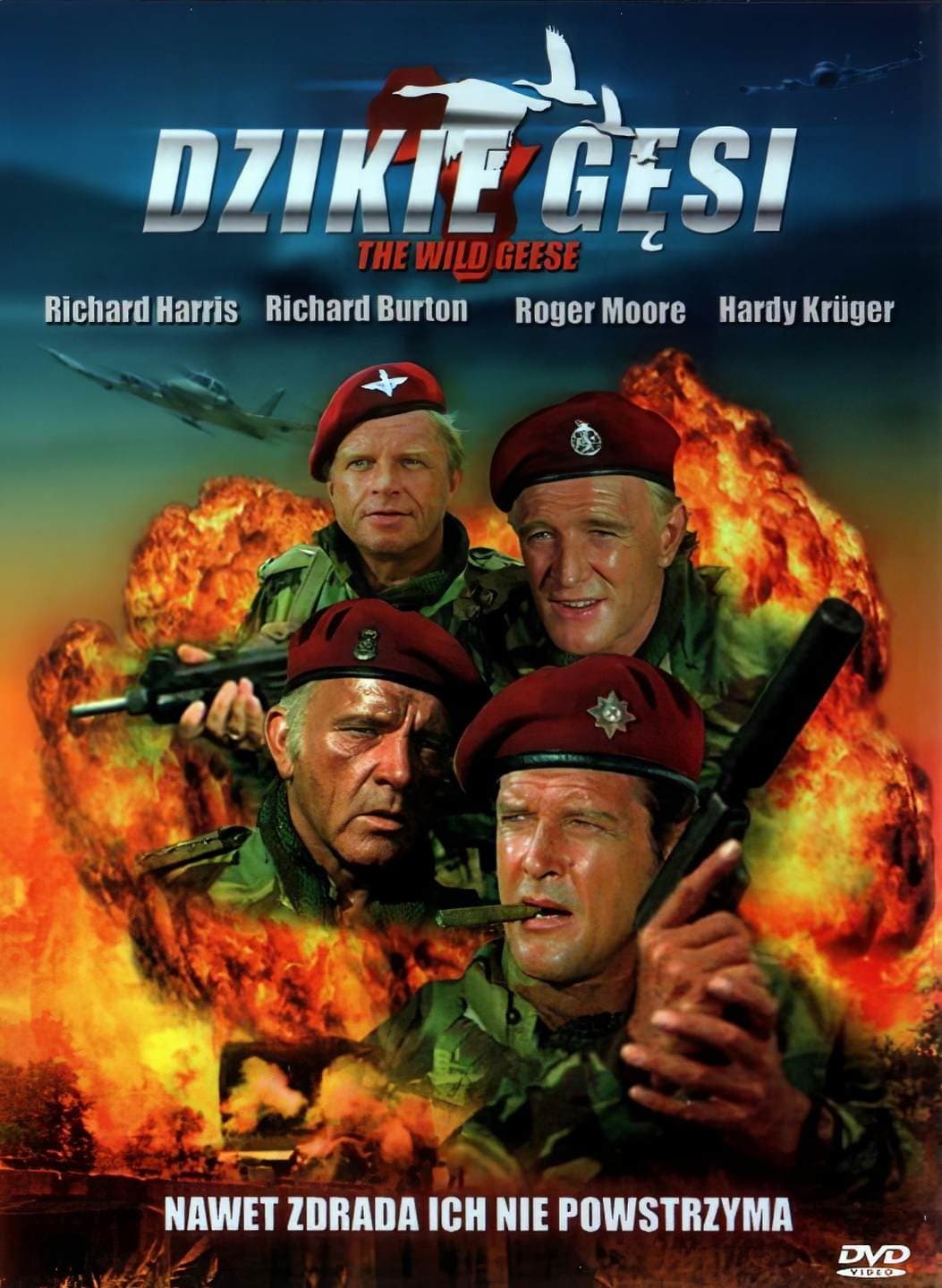 Dzikie gęsi 1978 cały film