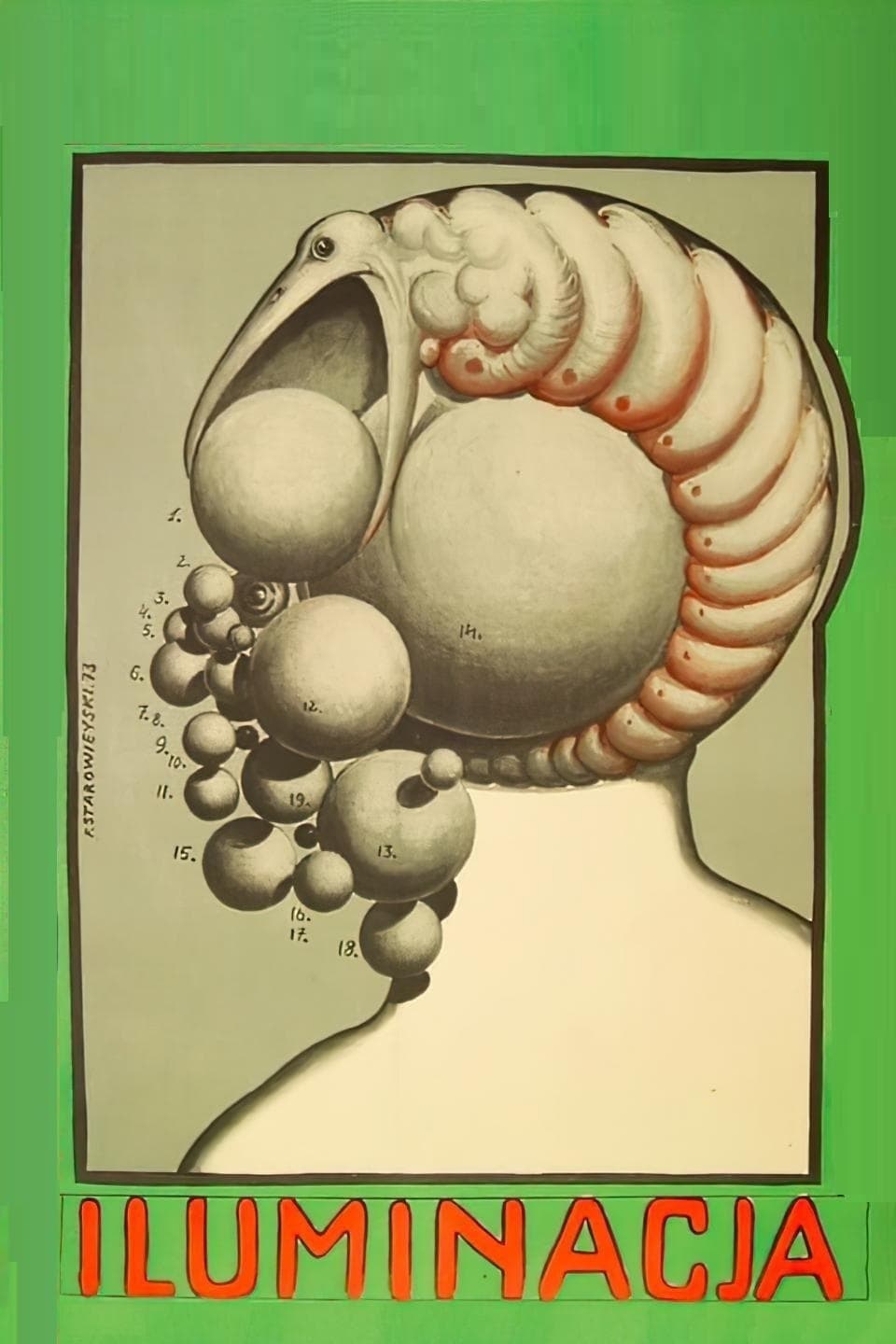 Iluminacja 1973 cały film