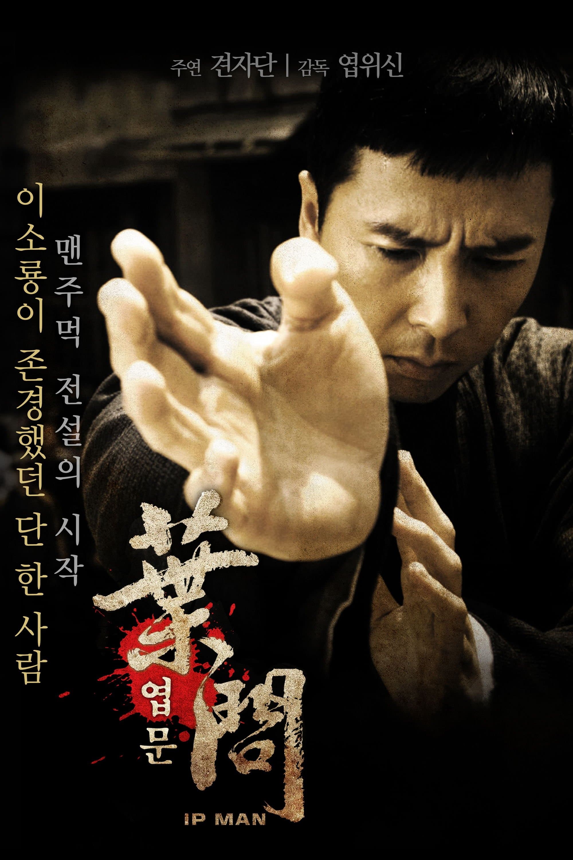 Ip Man 2008 cały film