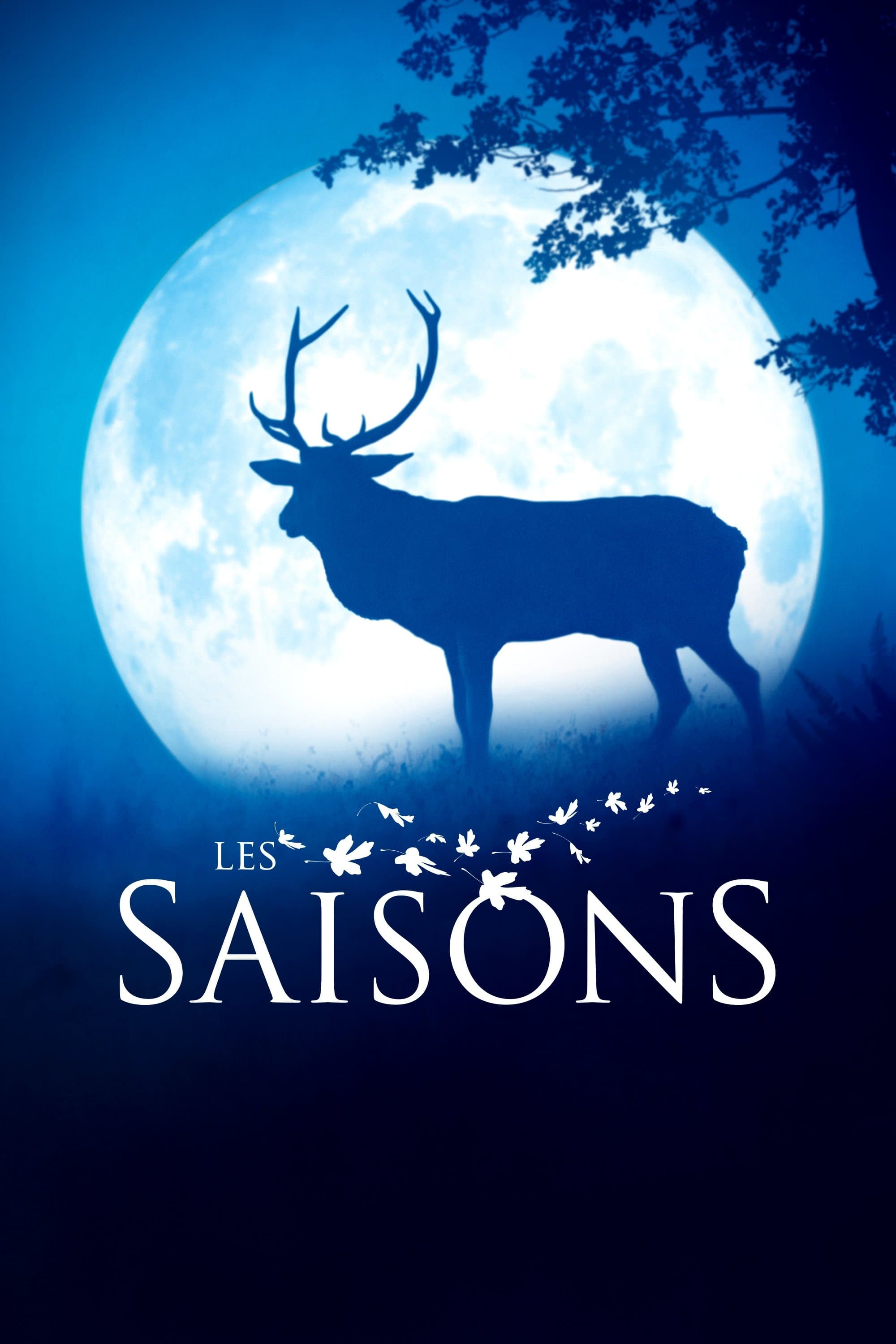 Królestwo 2016 cały film