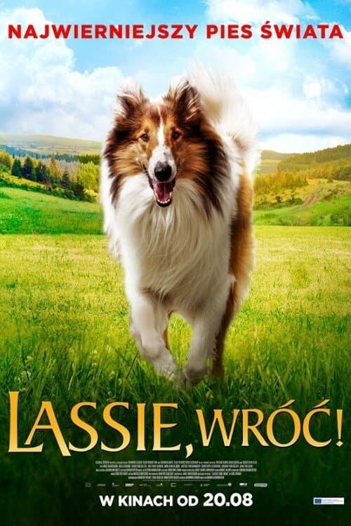 Lassie, wróć! 2020 cały film