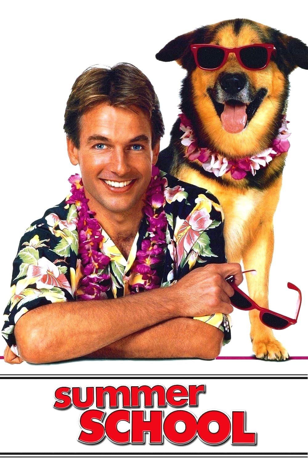 Letnia szkoła 1987 cały film