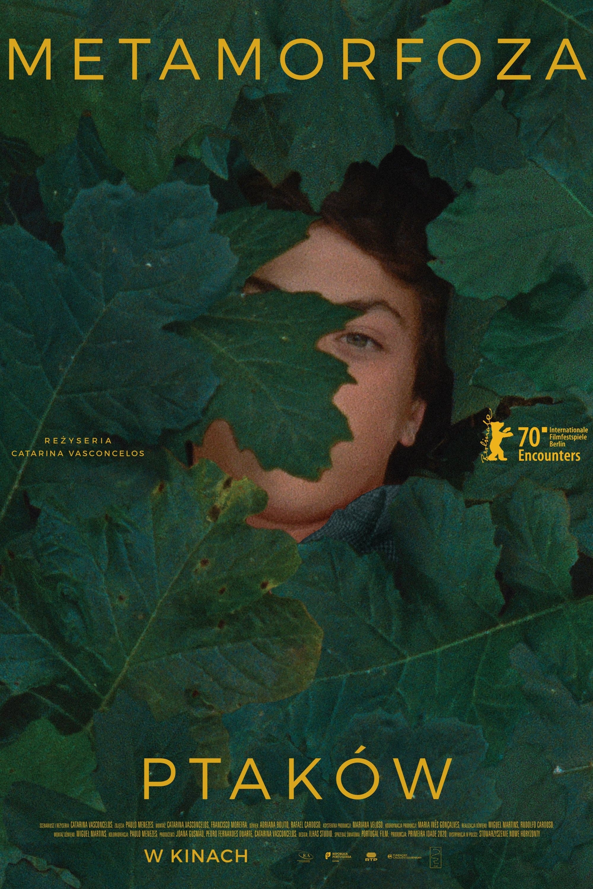 Metamorfoza ptaków 2021 cały film