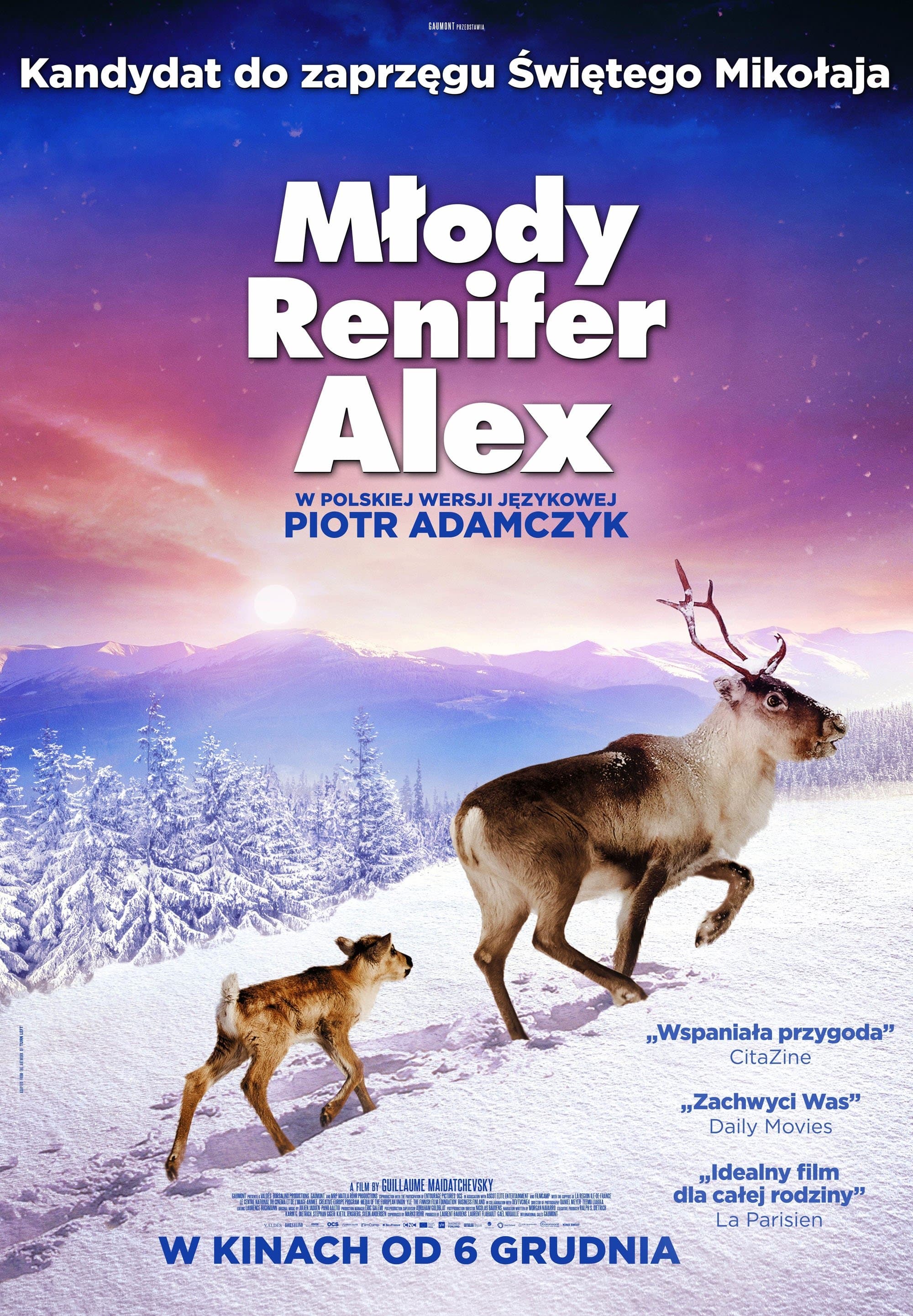 Młody renifer Alex 2018 cały film