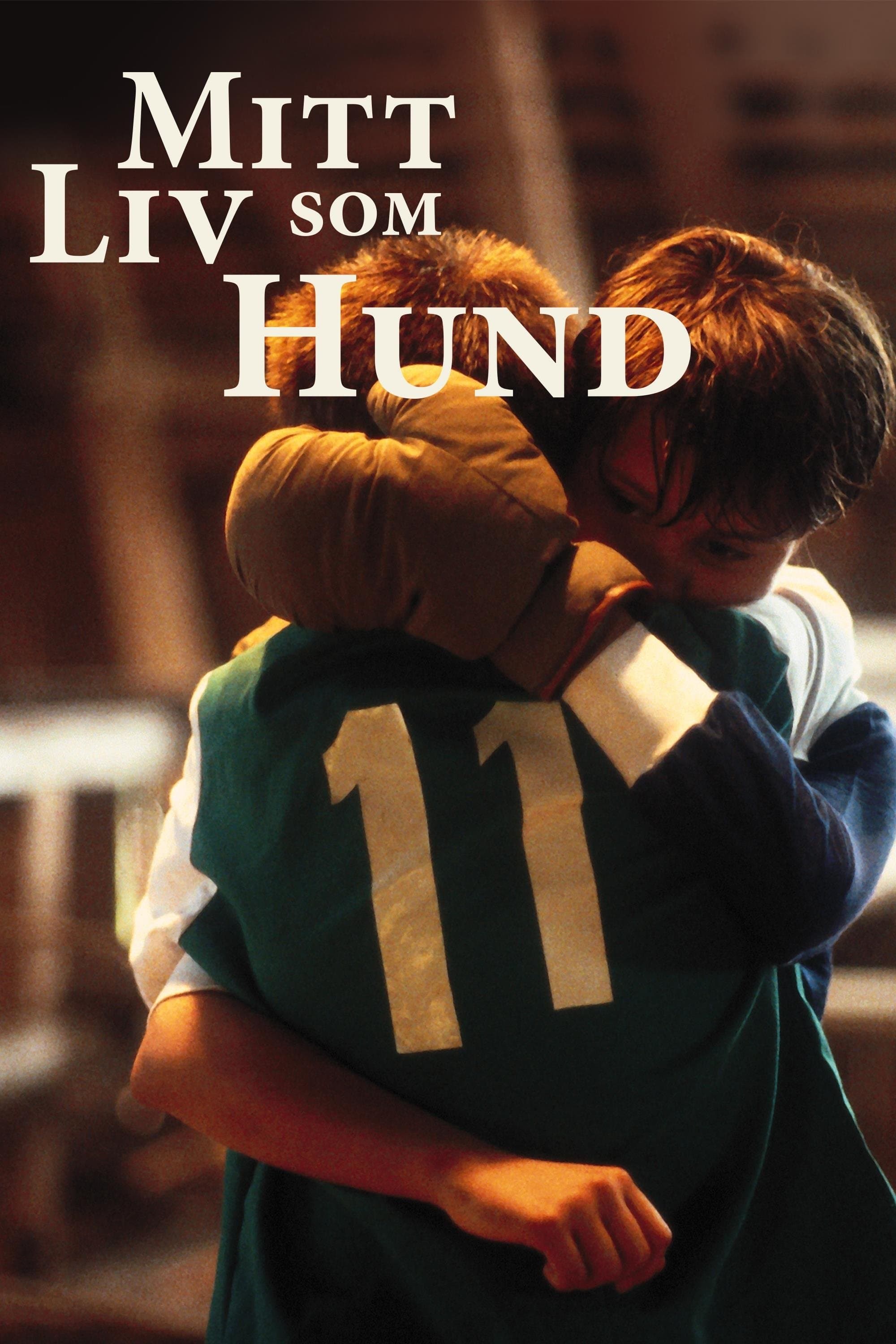 Moje pieskie życie 1985 cały film