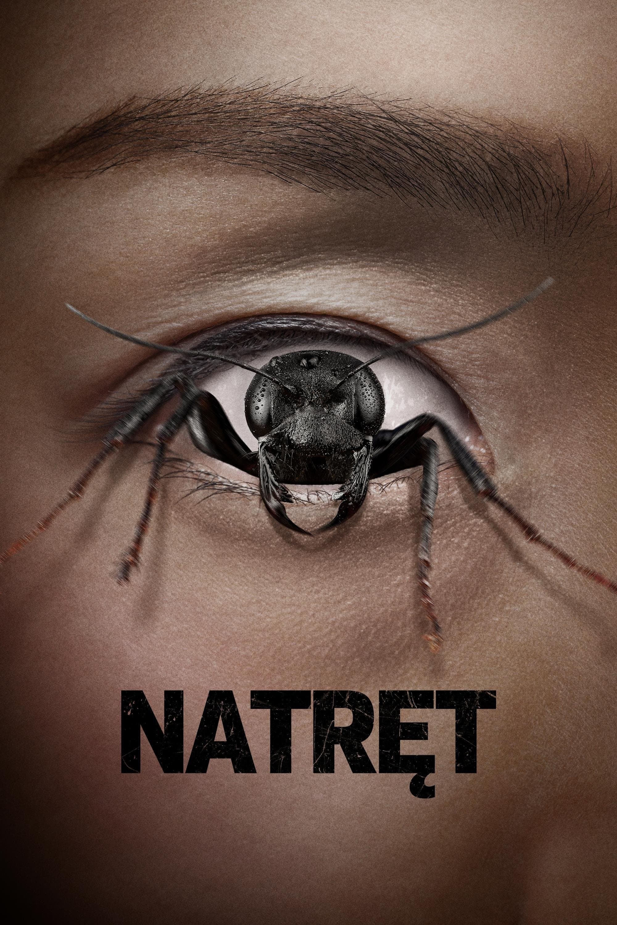 Natręt 2025 cały film