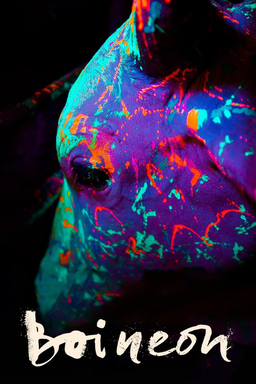 Neonowy byk 2016 cały film