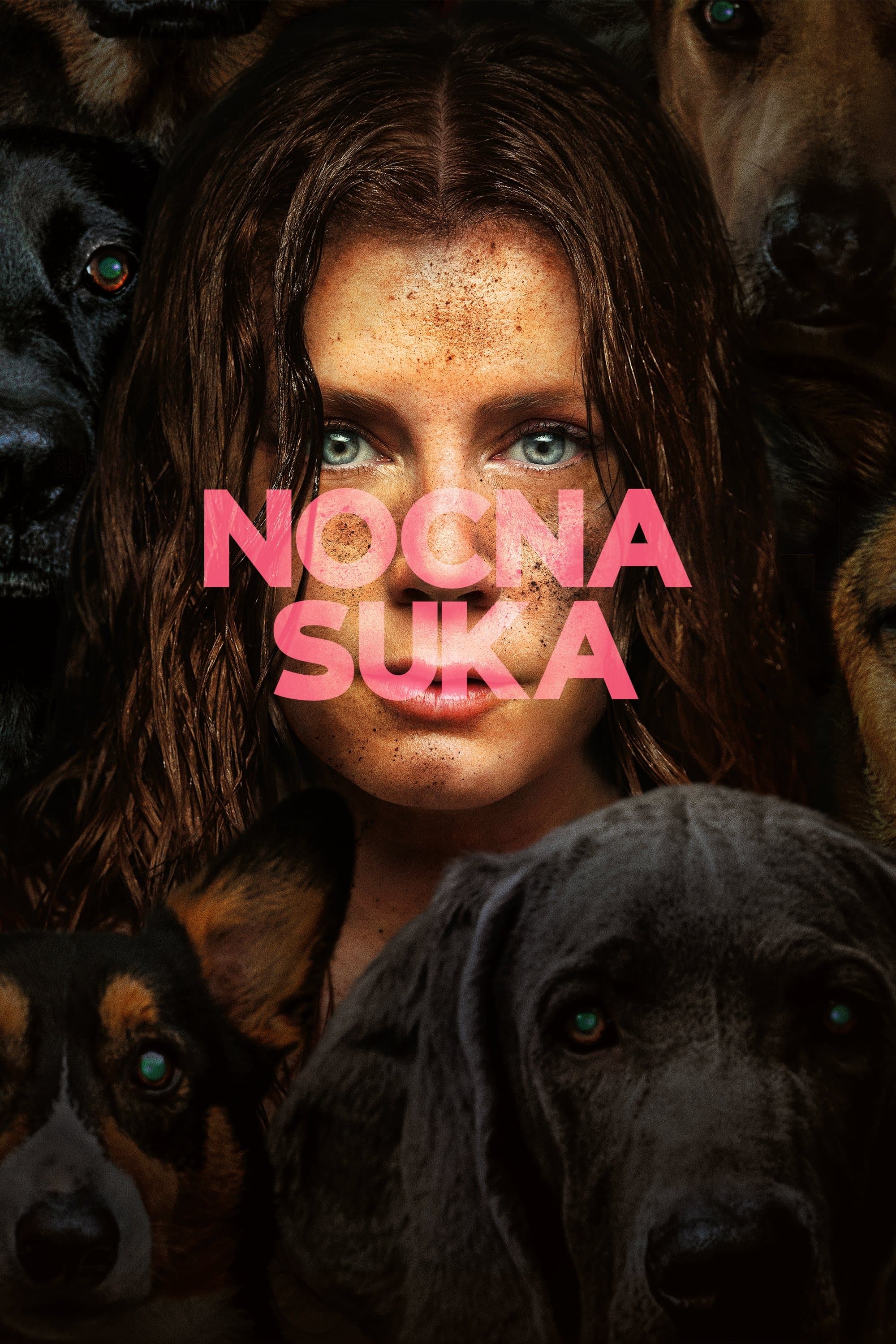 Nocna suka 2024 cały film