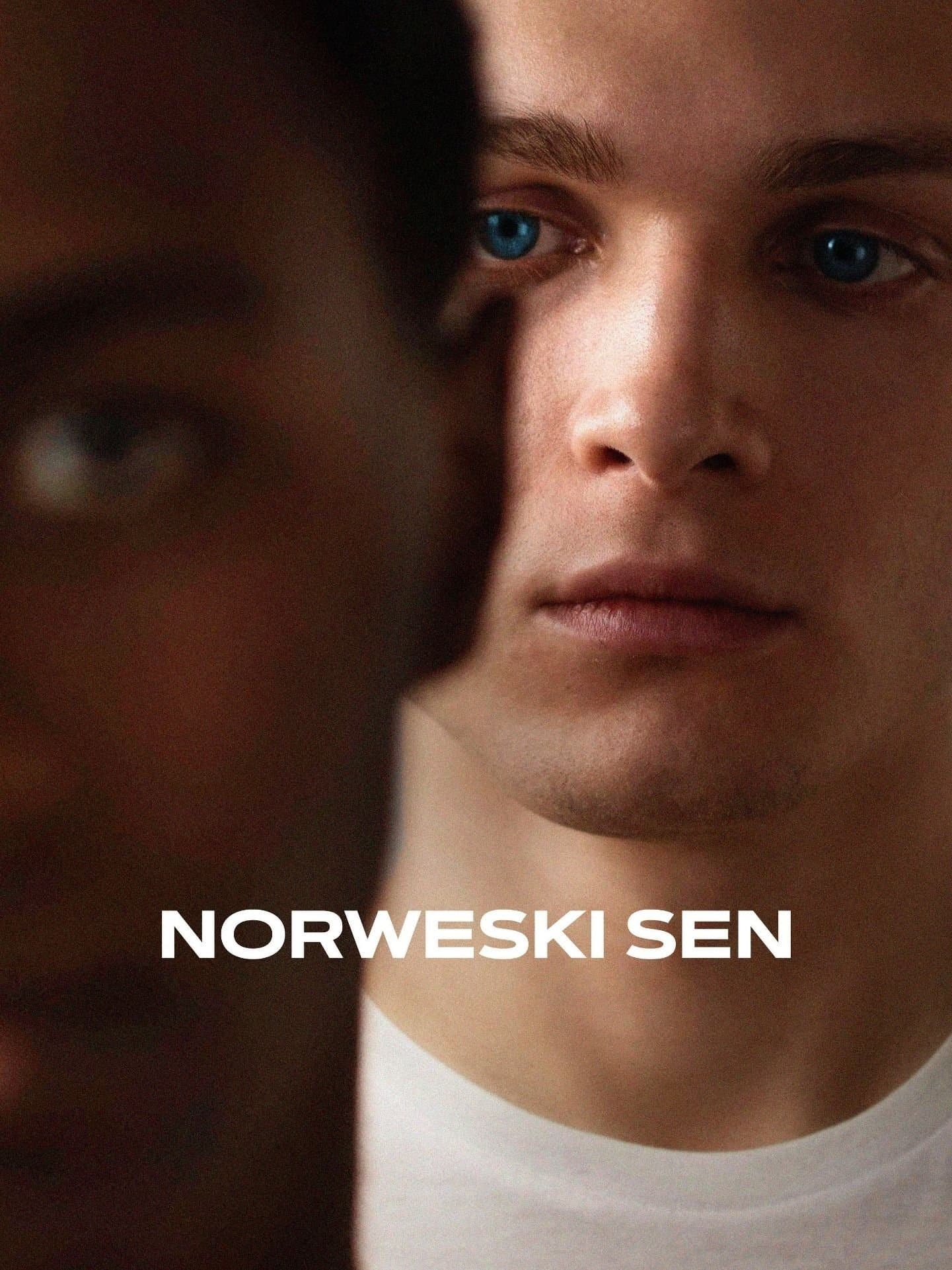 Norwegian Dream 2023 cały film