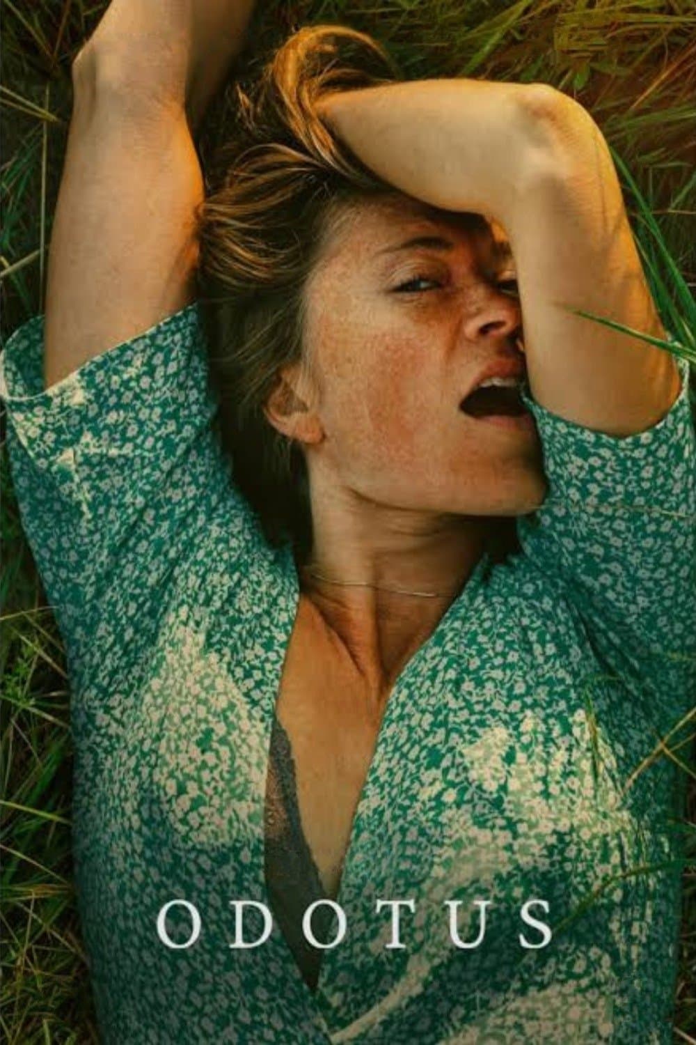 Oczekiwanie 2022 cały film