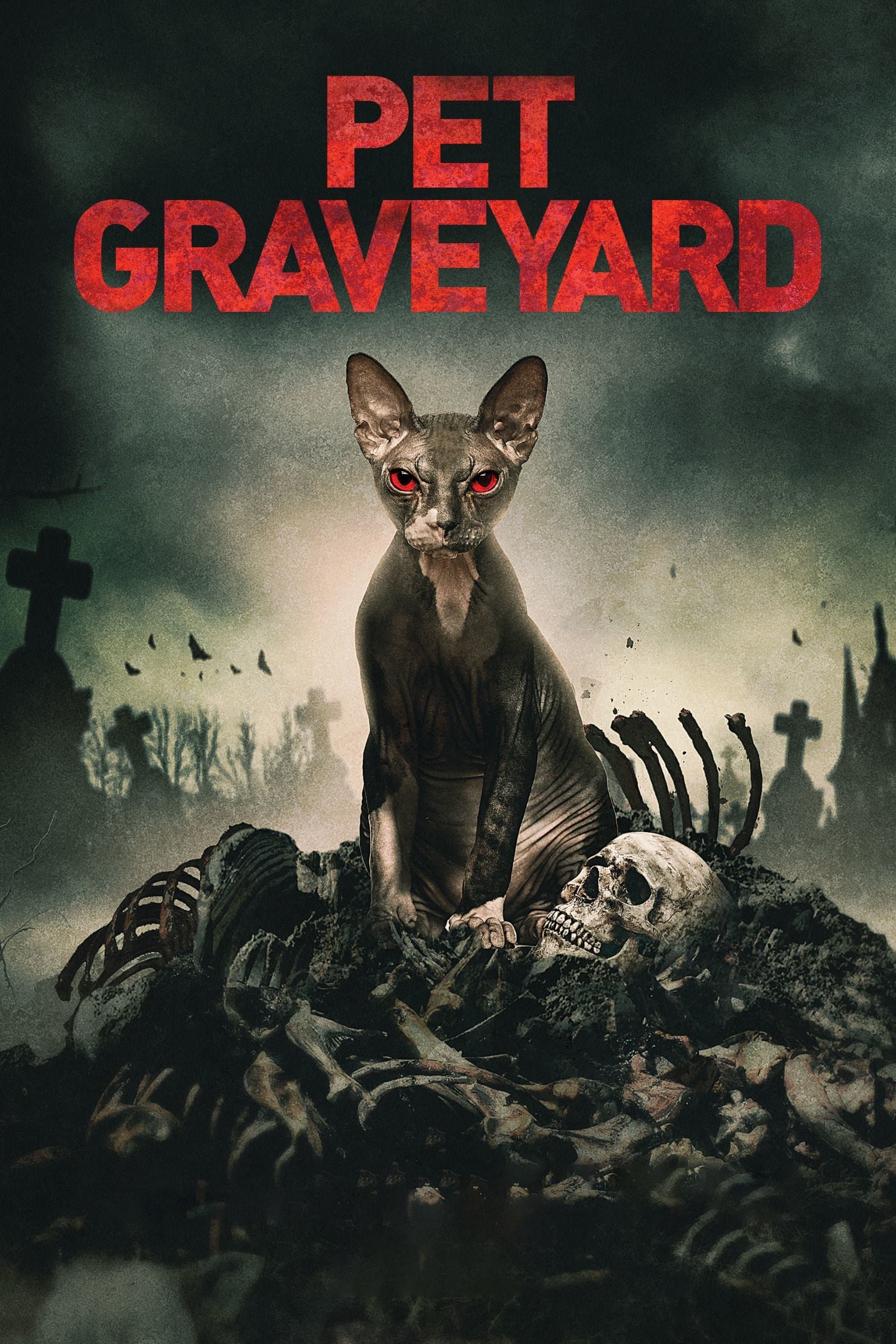 Pet Graveyard 2019 cały film