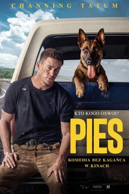 Pies 2022 cały film